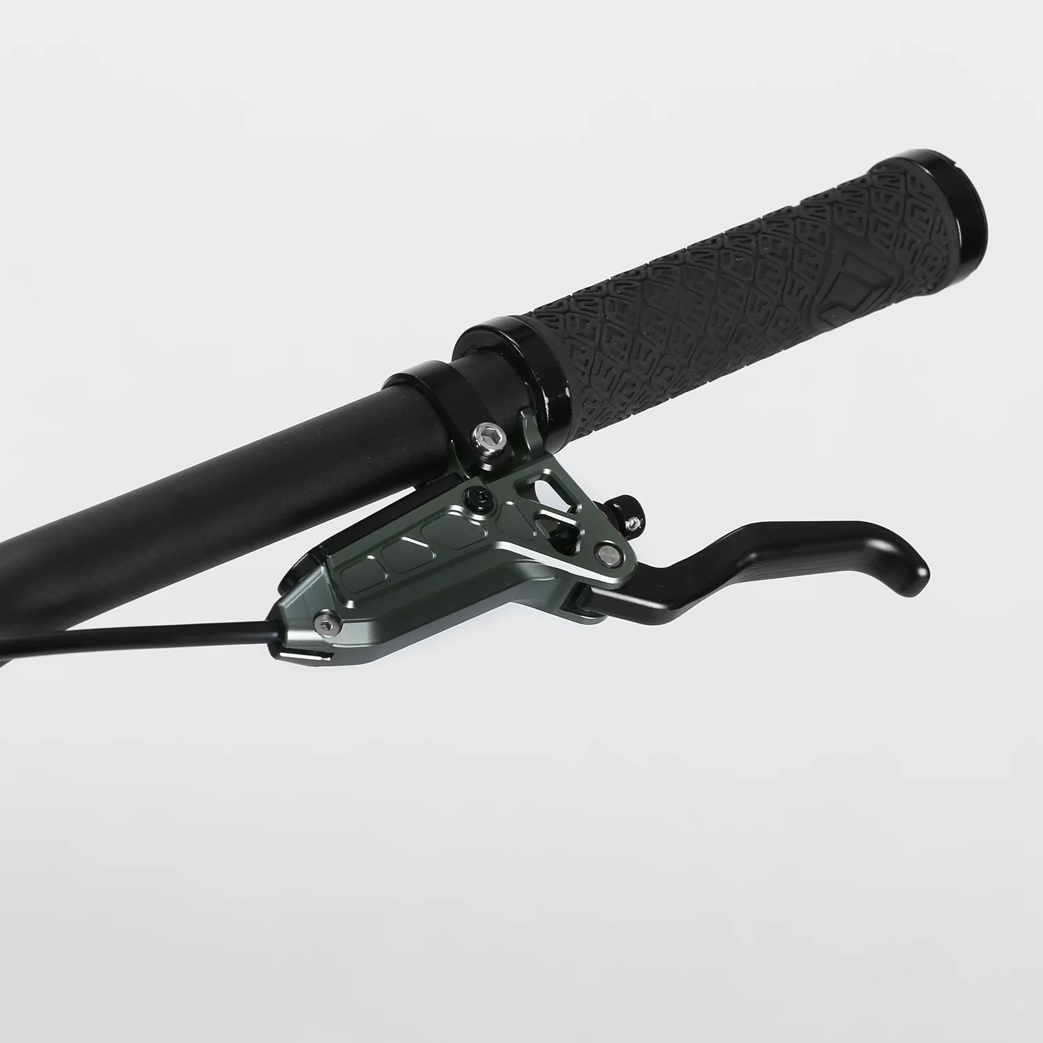 Tarpan - Image 6