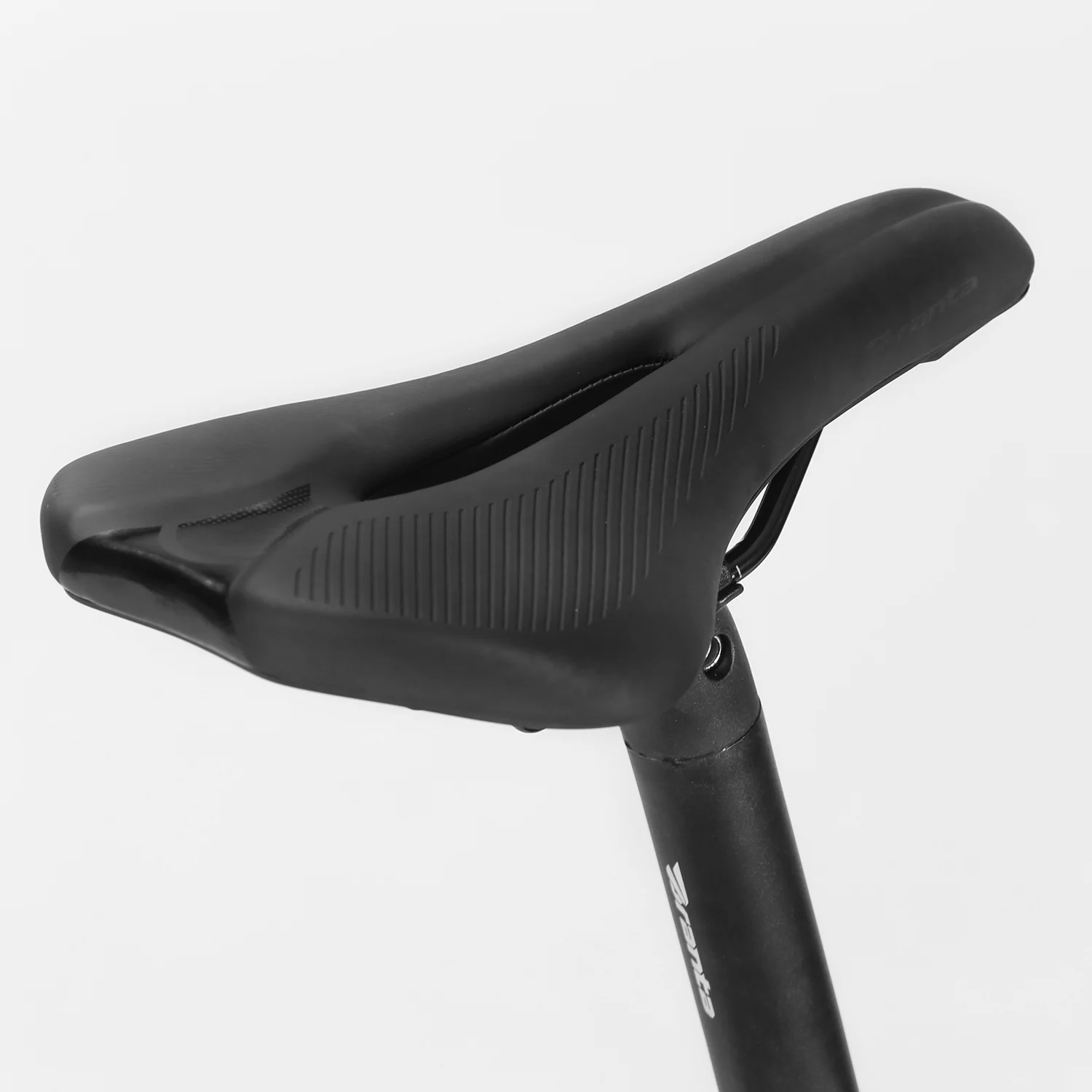 Tarpan - Image 7